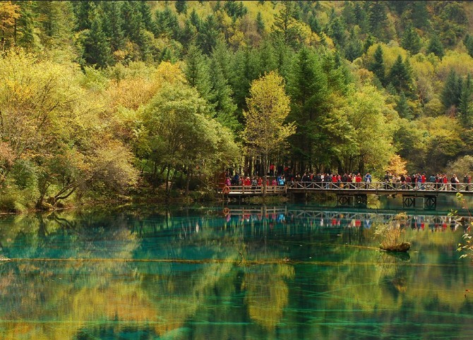 四川,九寨溝,峨眉山金頂,樂山,錦裡四飛六天旅遊團