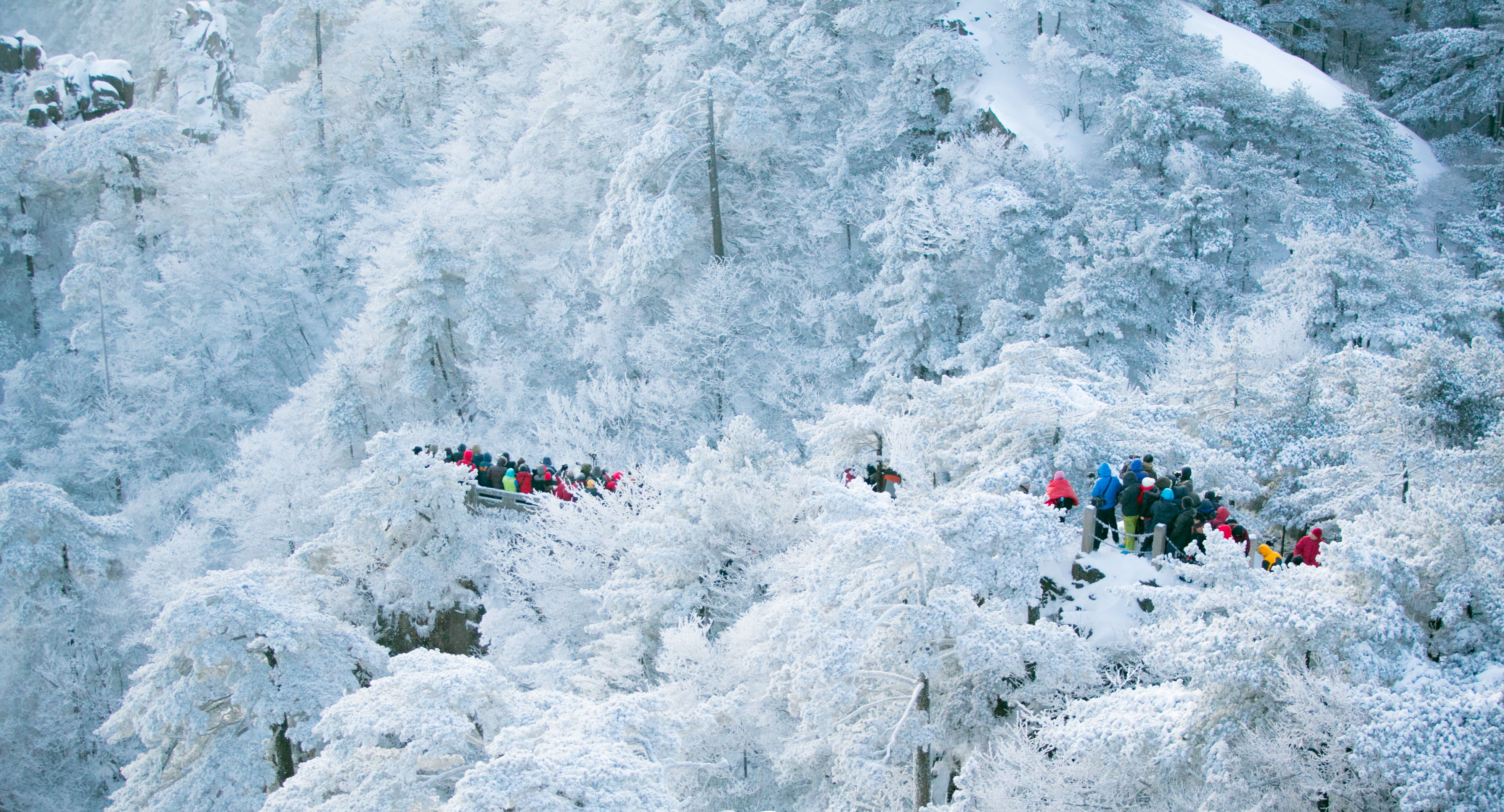 黄山温泉 飘雪图片